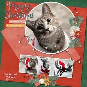 Holly Jolly 1