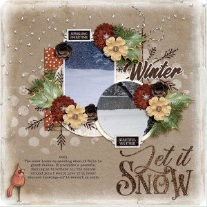 Winter Weather