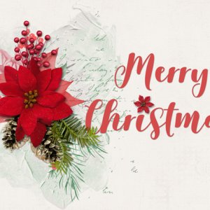 Merry Christmas