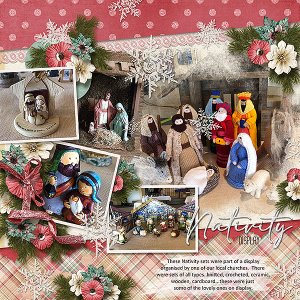 Nativity Display