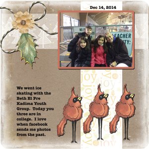 2014-12-14-ice skating past