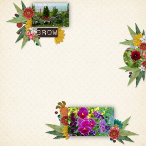 garden_seeds