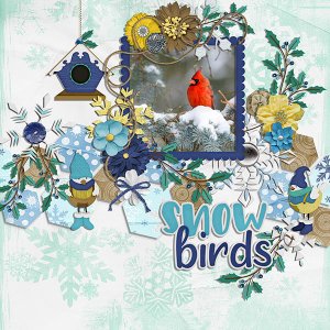 snowbirds