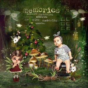 The Fairy Christmas Memories