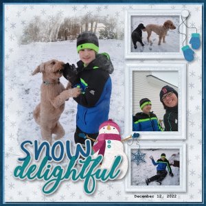 Snow Delightful