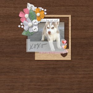 meet_cute