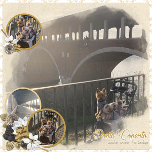 Ponte Coperto a Pavia