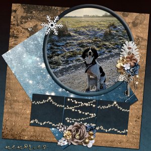 Winter Memories 2022