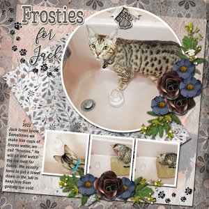 2022 Frosties