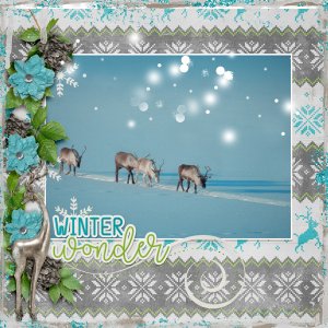 Winter-wonder2