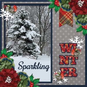Sparkling WINTER