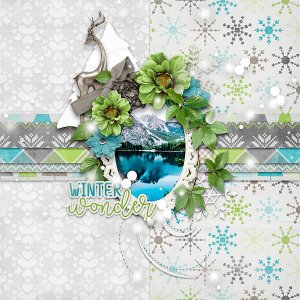 Winter Wonder