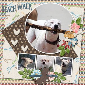 Beach Walk