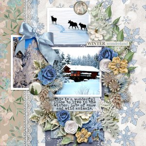Winter-wonderland36