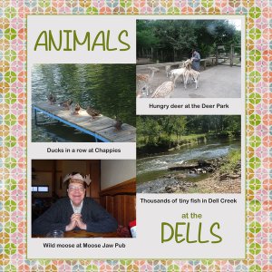 Animals at the Dells