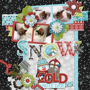 Snow Cat