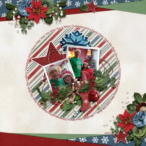 Home for the Holidays