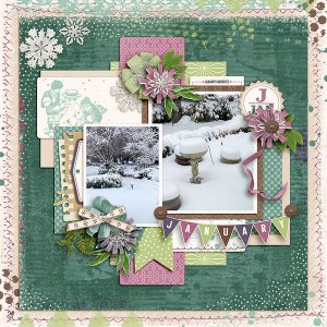 January-Snow