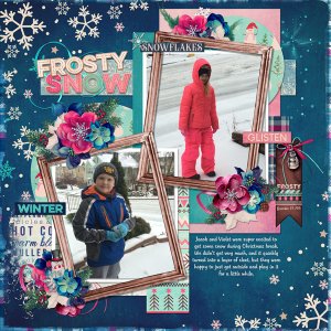 Frosty Snow