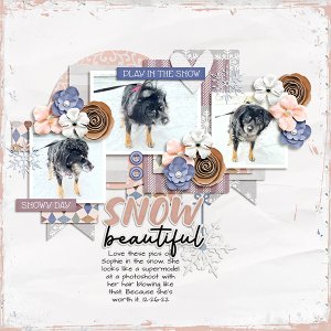 Snow Beautiful