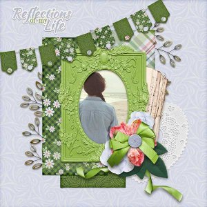 Reflections Of My Life