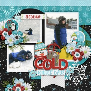 Sledding Fun