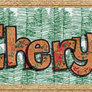 12-22_Sig