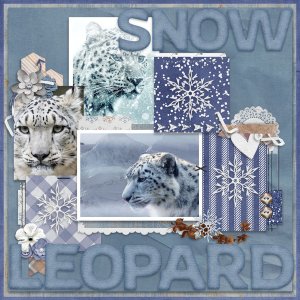 Memory Mix Up Challenge - Jan '23