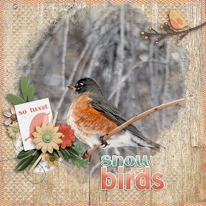 Winter-Bird