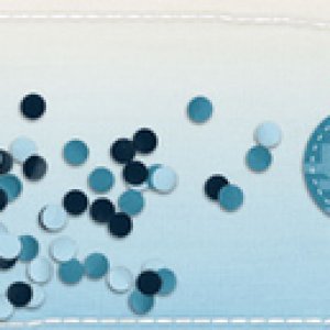 Signature - blues for January