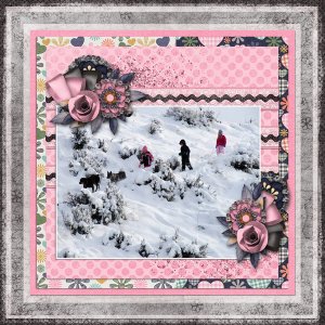 Snow Fun
