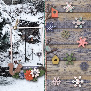 Tweet Winter