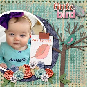 Little Bird