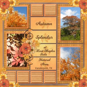 Autumn Splendor