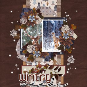 Wintry Woods