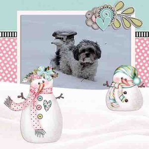 Snowdog