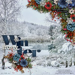 frosty winter