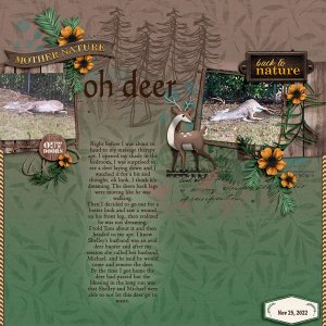 Oh Deer