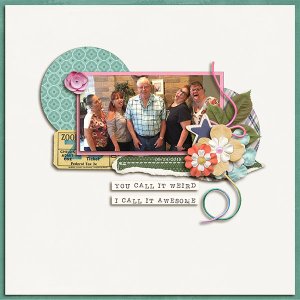 Dad and His Crazy Girls