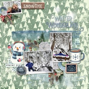 Snow Fun