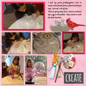Craft Bird Feeder