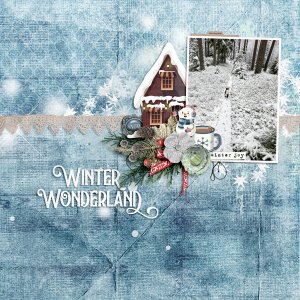 Winter Woodlands