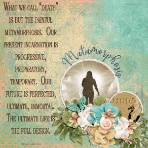 Metamorphosis