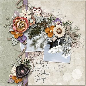 Seeds Beneath Spring