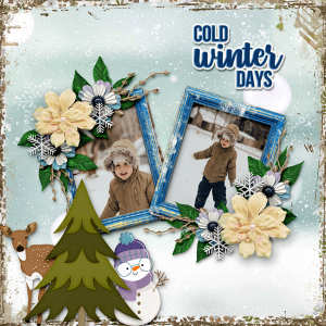 Cold Winter Days