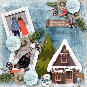 Welcome to Winter Wonderland