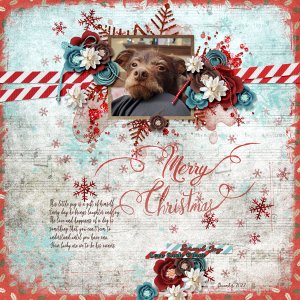 December Blessings