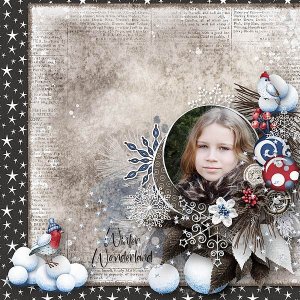 Winter Wonderland
