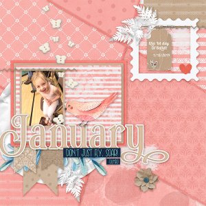 2020 January Bundle by Designs by Connie Prince