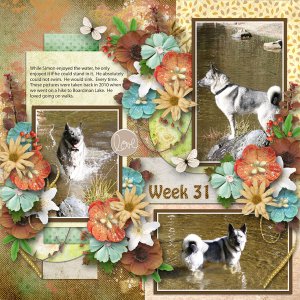 Week 31 2022